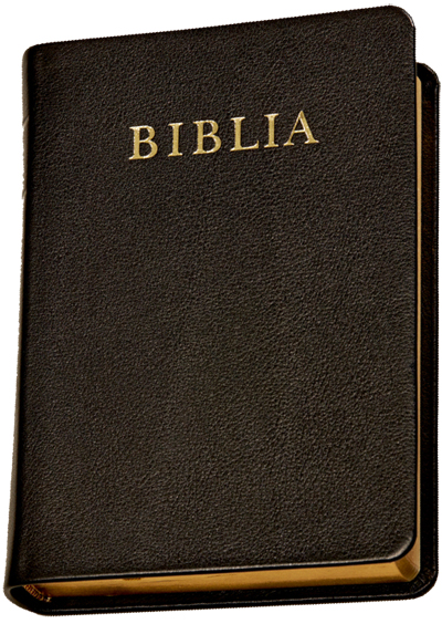 Biblia,  revideált új fordítás, középméretű, bőr, aranymetszésű